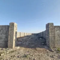 زمین ۶۷۰ متری خیابان درختی رامجین