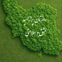 کار داخل منزل خودم میخوام