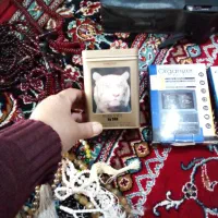 وسایل شخصی|دوربین عکاسی و فیلم‌برداری|قزوین, |دیوار