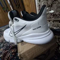 کفش|کیف، کفش، کمربند|سنقر, |دیوار