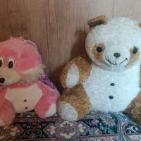 دودعددعروسک