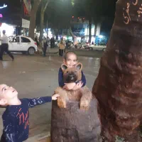 پرستار و کمکی همسر