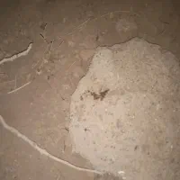 تکه سنگ