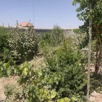 فروش باغ750متری بامجوز و سند|فروش خانه و ویلا|اصفهان, پارک مشتاق|دیوار