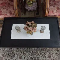 میز جلو مبلی|مبلمان خانگی و میز عسلی|نوشهر, |دیوار