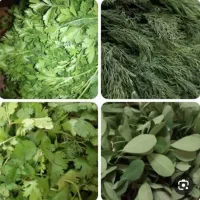 سبزی خورشت