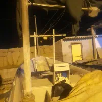 فروشی|قایق و سایر وسایل نقلیه|قشم, |دیوار