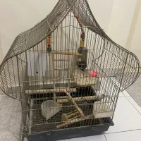 قفس بزرگ، لانه چوبی و...