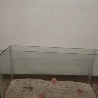 آکواریوم ماهی|ماهی|میاندوآب, |دیوار