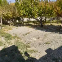 فروش زمین ۲۰۶۲ متری|فروش زمین و ملک کلنگی|چهارباغ, |دیوار