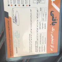 206 صندوقدار v8|خودرو سواری و وانت|رفسنجان, |دیوار