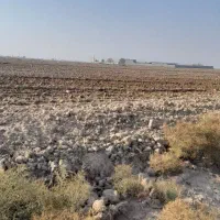 زمین کشاورزی سنددار نزدیک مشهد همراه با آب