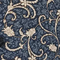 فرش ۱۲متری نو ۷۰۰شانه