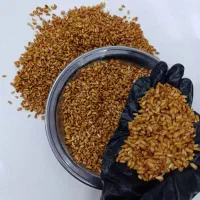 حناردان ترش خشک