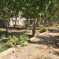 فروش /باغ /فاروق دربهترین لوکیشن