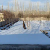 باغ-فیرورق