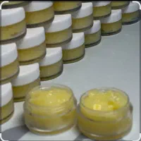 انواع عسلوژل رویال باکیفیت بالا وقیمت مناسب|خوردنی و آشامیدنی|کرمان, |دیوار