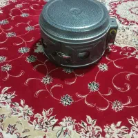 یک عدد گل فر تمیز وسالم
