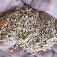 خوراک دام|عمدهفروشی|گیلان غرب, |دیوار
