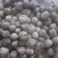 گردو دماوند