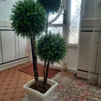 ۴ تامتکا ویک عدد گل وگلدان ،|گل مصنوعی|اندیمشک, |دیوار