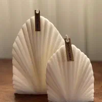 تعدادی قالب سیلیکونی دست دوم|صنایع دستی و سایر لوازم تزئینی|منجیل, |دیوار