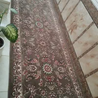 کناره عرض 1/5در چهارمتر ..نونو هزار شانه تراکم3000