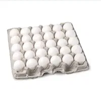 تخم مرغ زرده طلایی  تازه ب صرفه