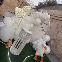 بادکنک ارایی و گل ارایی دیزاین شب یلدا|خدمات پذیرایی، مراسم|شهریار, شهریار|دیوار