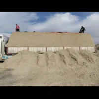باگاس نیشکر