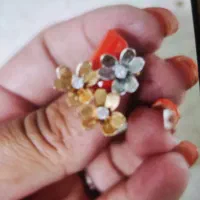 یک عدد گوشواره گمشده است