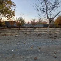 فروش زمین کشاورزی|فروش زمین و ملک کلنگی|گلمکان, |دیوار