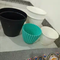 گلدان|گل و گیاه طبیعی|اهواز, کوی باهنر|دیوار