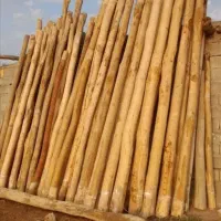 خرید چوب سقفی یاهمون دام تیری سالم وپوسیده|خدمات باغبانی و درختکاری|تاکستان, |دیوار