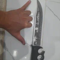 چاقو معاوضه با انگشترنقره یاپرندهقناری سهره گلبسر|کلکسیون و سرگرمی|محمدشهر, محمدشهر|دیوار