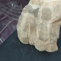 سنگ|کلکسیون اشیاء عتیقه|ساوه, |دیوار