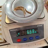 برای سرمایه گذاری