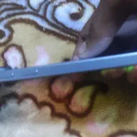 نوت13