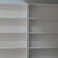 رگال شاخکی ویترین پاچال وباکس