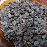 کشمش تازه امسال