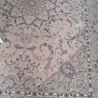 قرش  کویر خاطره یزد درجه یک ۱۲ متری