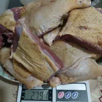 اردک اسراییلی|حیوانات مزرعه|کوچصفهان, |دیوار