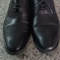 کفش مجلسی سایز 43 نو|کیف، کفش، کمربند|شاهین دژ, |دیوار