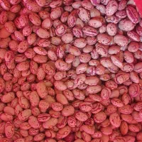 لوبیا چیتی درجه یک