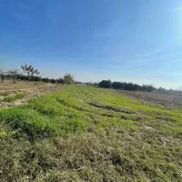 زمین-155-متری-داخل-بافت-شهری