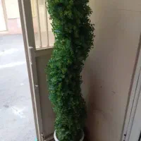 مبل ۷نفره در حد نوزیک عدد گلدان گل