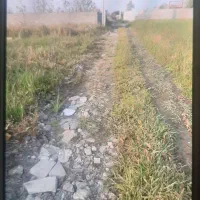 زمین شهرک احمد خمینی|فروش زمین و ملک کلنگی|رشت, شهرک احمد خمینی|دیوار