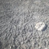 کود مرغی. تتمگذار|خدمات باغبانی و درختکاری|دورود, |دیوار