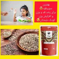 دانه کینوا خاویار گیاهی