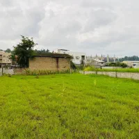 فروش زمین مسکونی ۵۰۰ متری|فروش زمین و ملک کلنگی|نکا, |دیوار